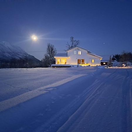 Mountainside Lodge - Breivikeidet Tromsø Eksteriør billede