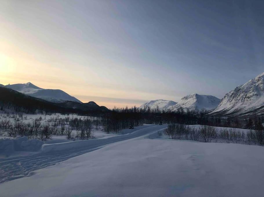 Mountainside Lodge - Breivikeidet Tromsø Eksteriør billede
