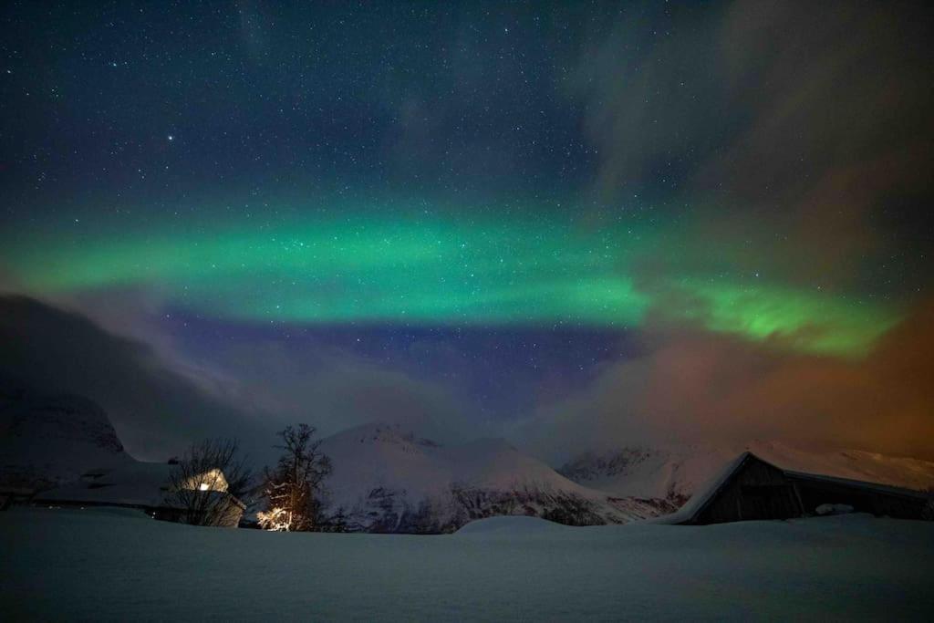 Mountainside Lodge - Breivikeidet Tromsø Eksteriør billede
