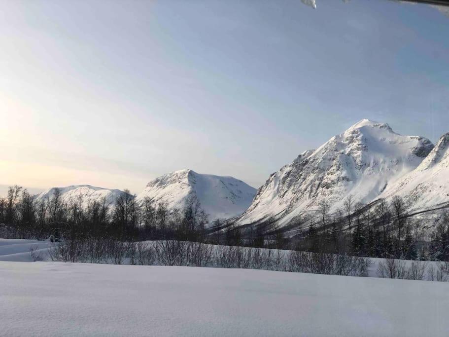 Mountainside Lodge - Breivikeidet Tromsø Eksteriør billede