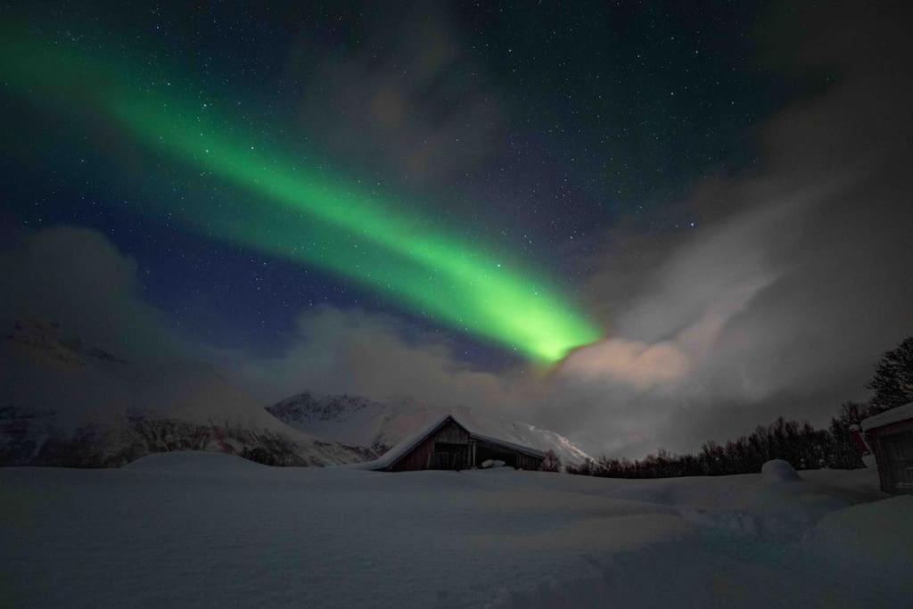 Mountainside Lodge - Breivikeidet Tromsø Eksteriør billede