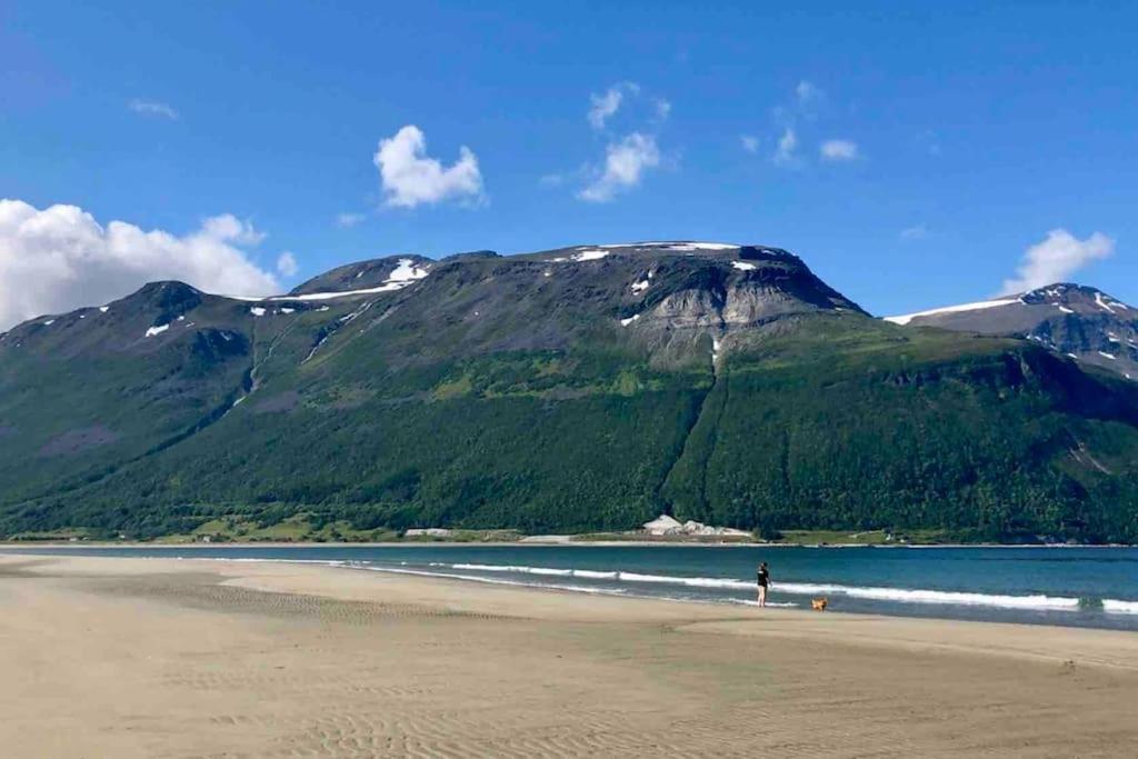 Mountainside Lodge - Breivikeidet Tromsø Eksteriør billede