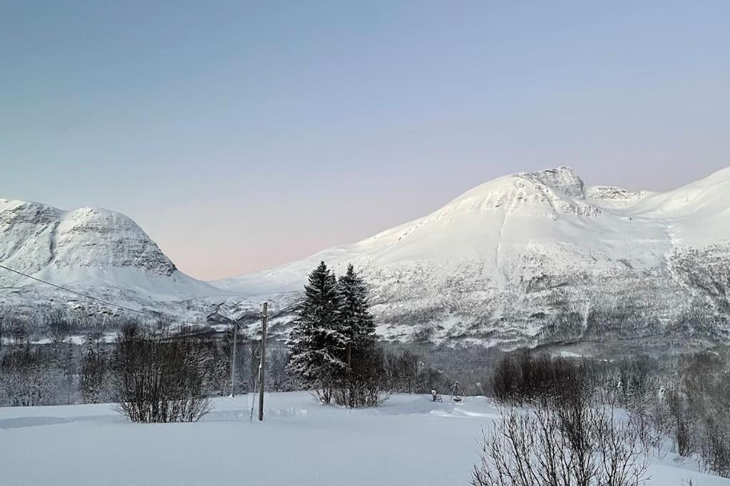 Mountainside Lodge - Breivikeidet Tromsø Eksteriør billede