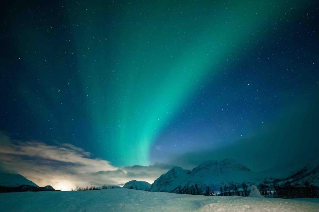 Mountainside Lodge - Breivikeidet Tromsø Eksteriør billede