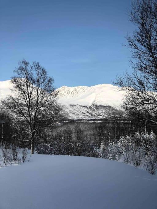 Mountainside Lodge - Breivikeidet Tromsø Eksteriør billede