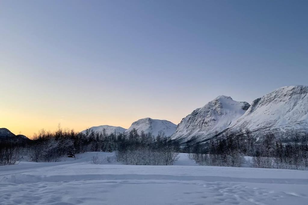 Mountainside Lodge - Breivikeidet Tromsø Eksteriør billede
