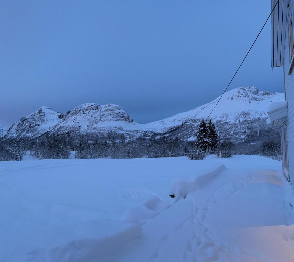 Mountainside Lodge - Breivikeidet Tromsø Eksteriør billede