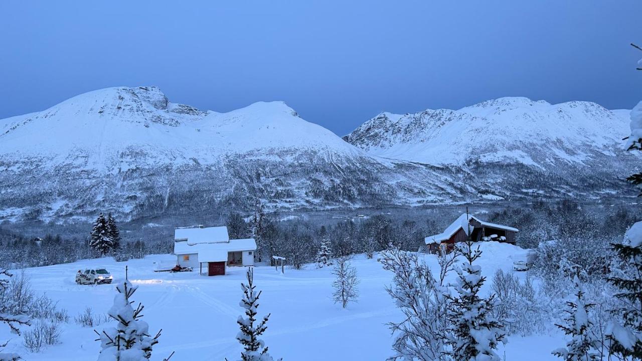 Mountainside Lodge - Breivikeidet Tromsø Eksteriør billede