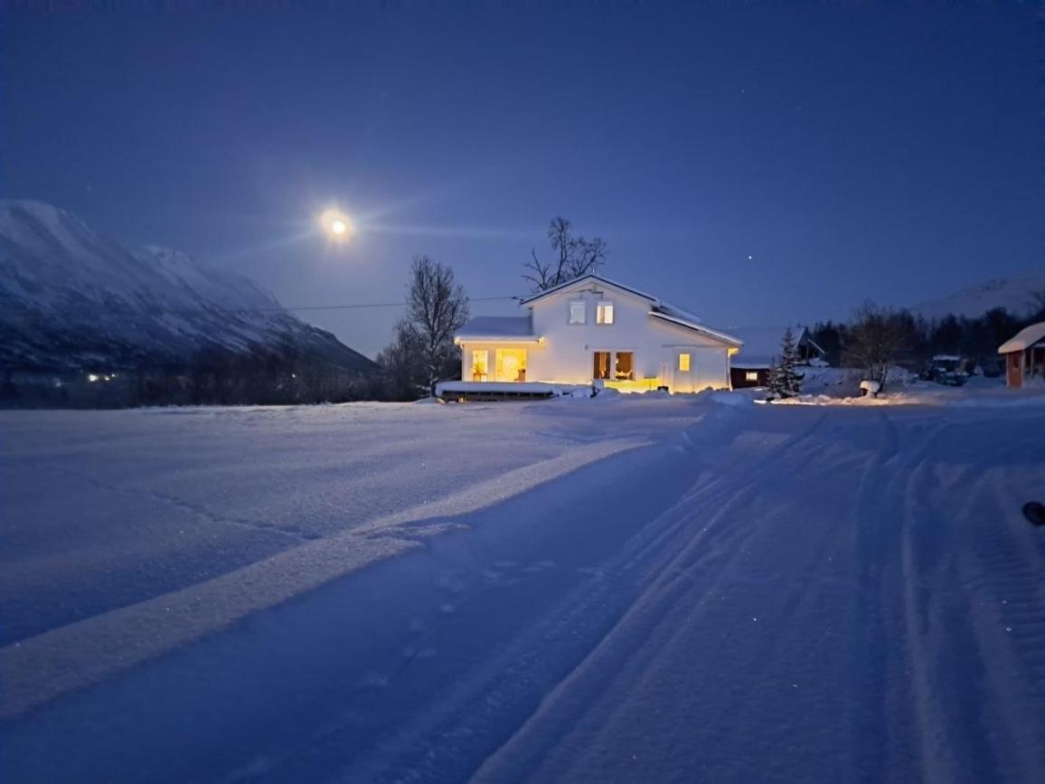 Mountainside Lodge - Breivikeidet Tromsø Eksteriør billede